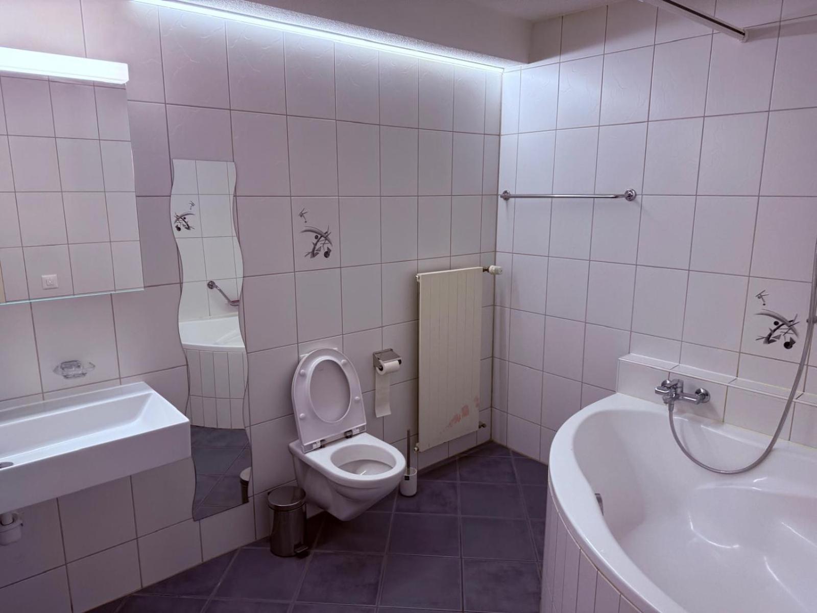 Sass Aparthotel Schönenwerd Kültér fotó